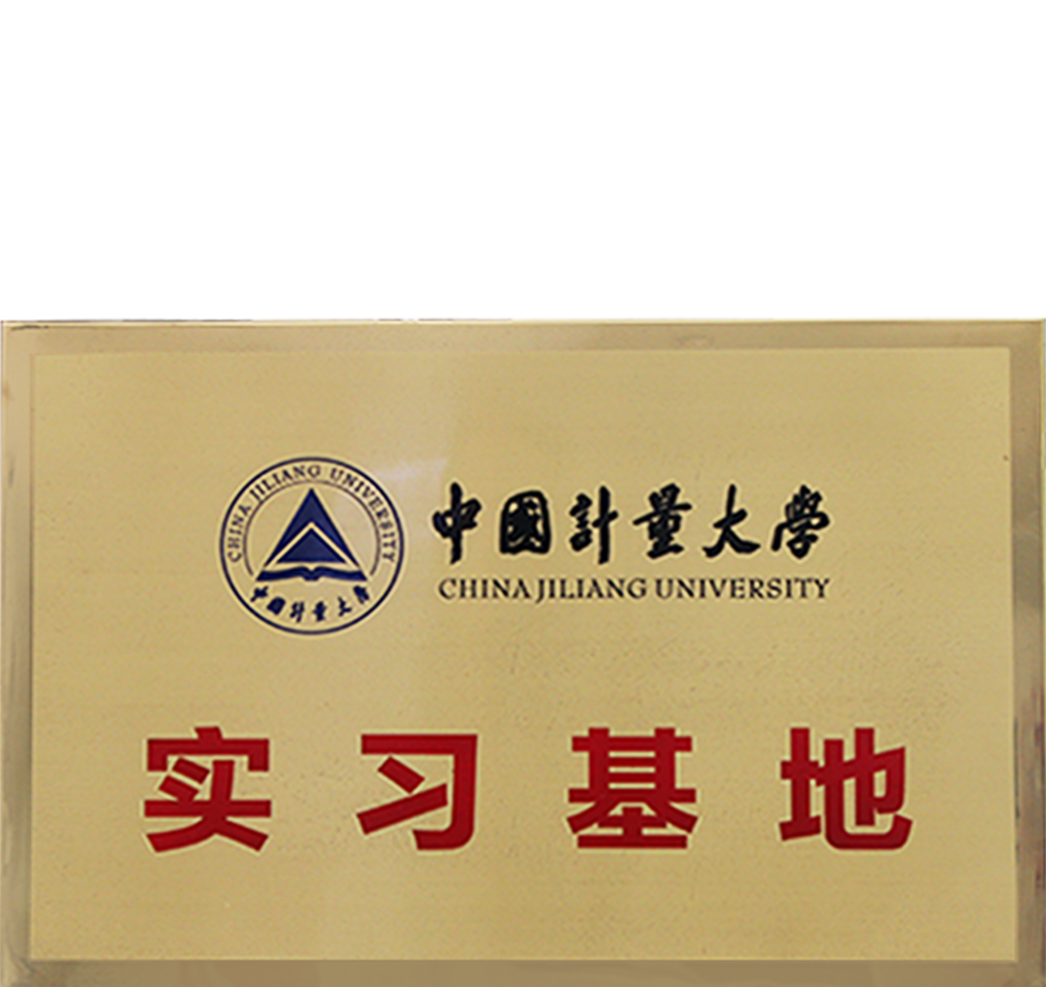 ALLSHENG