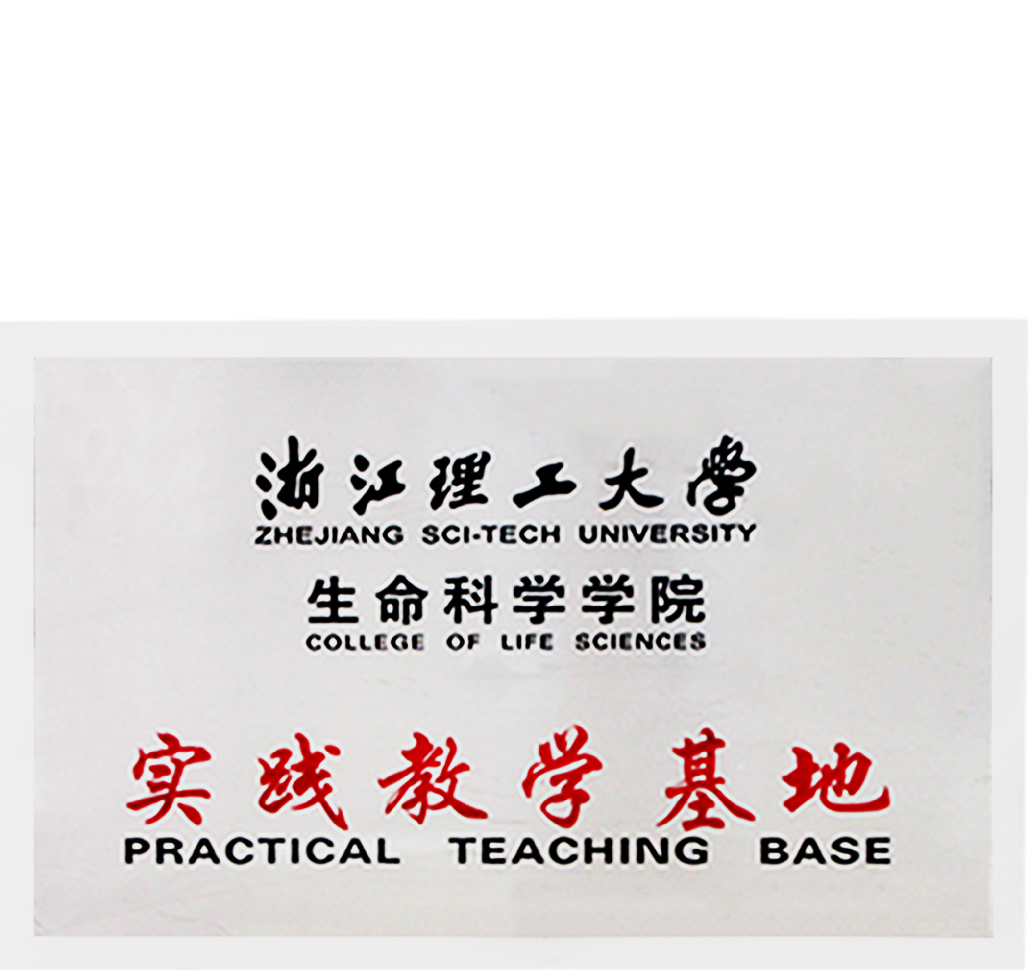 ALLSHENG