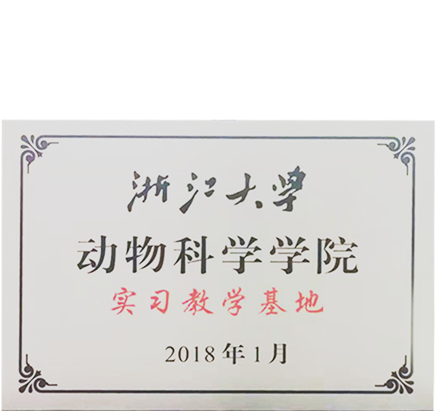ALLSHENG