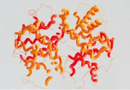 Two Methods to Measure Protein Concentration by Fluorescence