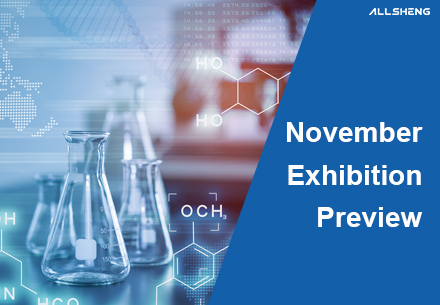 November Exhibition Preview