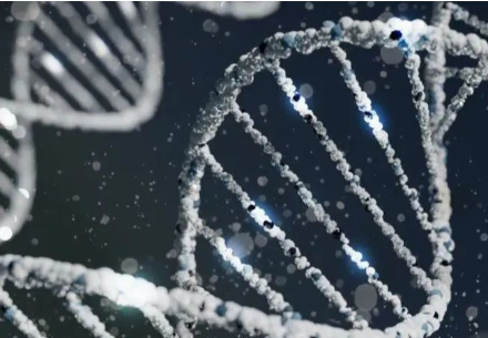 High-throughput Sequencing Strategies (1) - the Whole Genome Sequencing