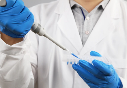 Application of Liquid Handling Workstation in Cell Level High-Throughput Drug Screening